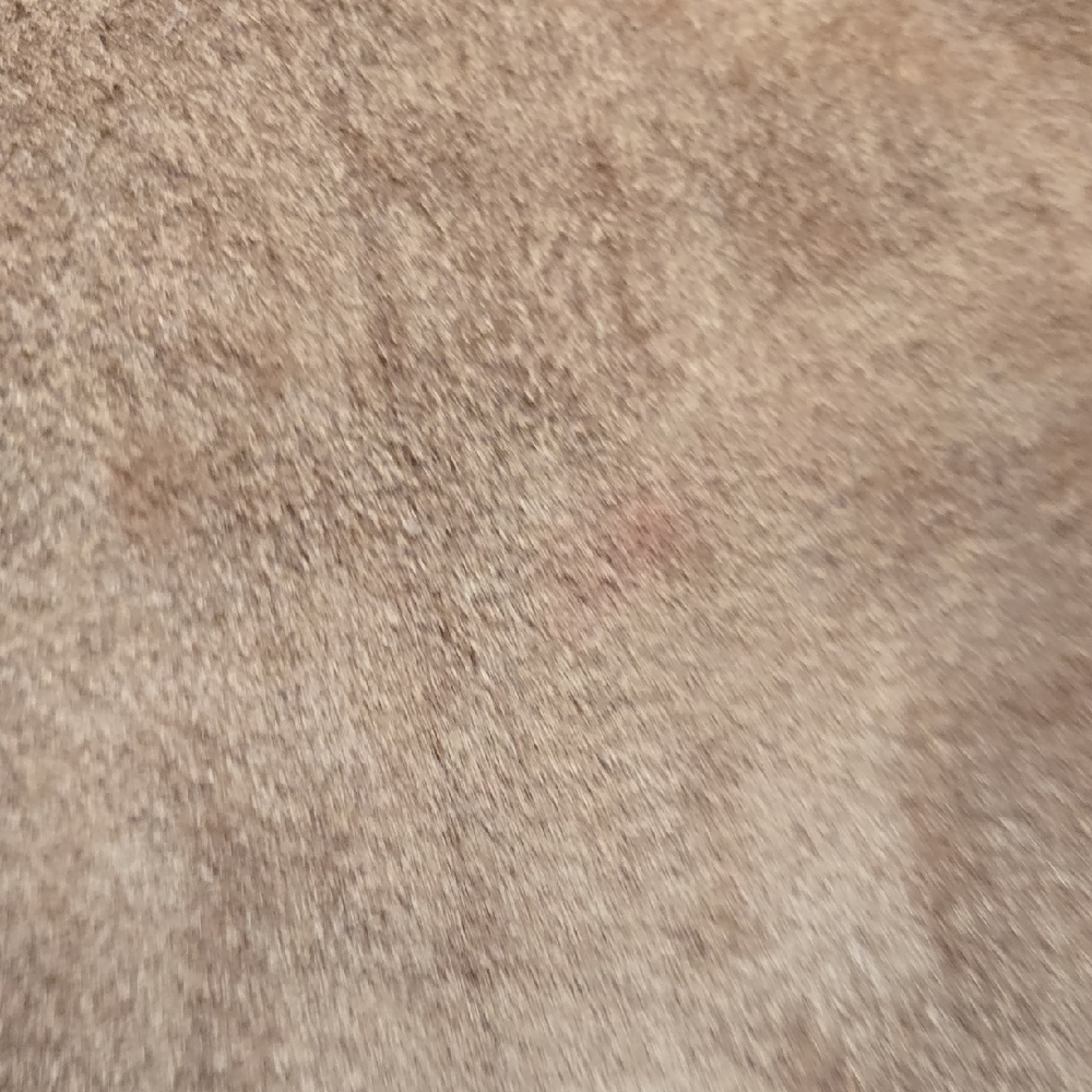 Jones Wear Suede Jacket - Picture 4 of 6